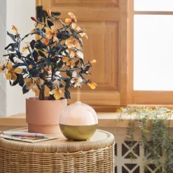 100ml Iridescent Oil Diffuser White - Opalhouse™ -Opalhouse Living Outlet Store GUEST f12702f8 e31d 43ee 96f7 42fa6e708262